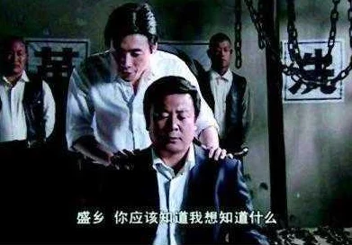 乡村浪妇大肉枪：揭示农村女性在传统与现代之间的挣扎与反抗，展现她们的勇气与追求自由的故事