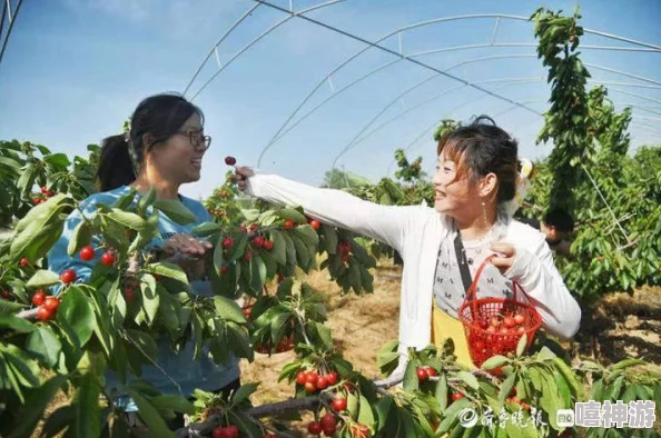 欧洲一区二区三区据说新晋网红打卡地引发粉丝疯狂追捧导致当地酒店价格飙升