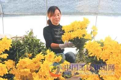 三十公分进入美妇后菊尺寸与舒适度的关系及个体差异的影响研究