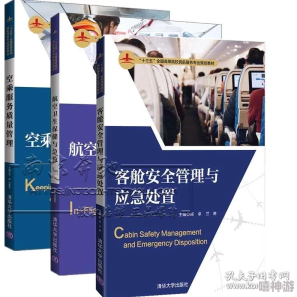 法版空乘：新规实施后，航空公司如何应对员工培训与服务质量提升的挑战与机遇