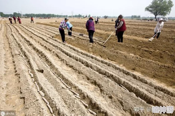 耕种姨妈肥沃的土地：如何在现代农业中实现可持续发展与生态平衡的完美结合