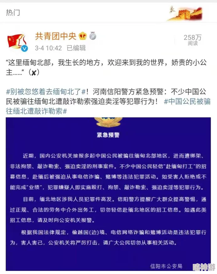 缅甸北部隐藏网站曝光：数十万用户信息泄漏，背后暗藏惊人的网络黑幕！