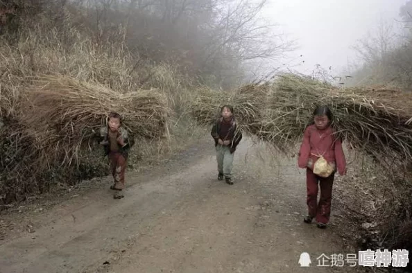 芦苇地里母亲说经典场景，竟被发现隐藏着不为人知的历史秘密，令人震惊的真相浮出水面！