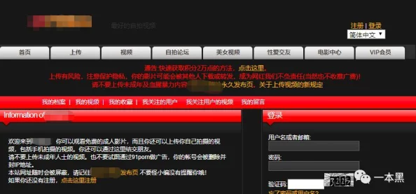 91www网友称内容丰富更新快